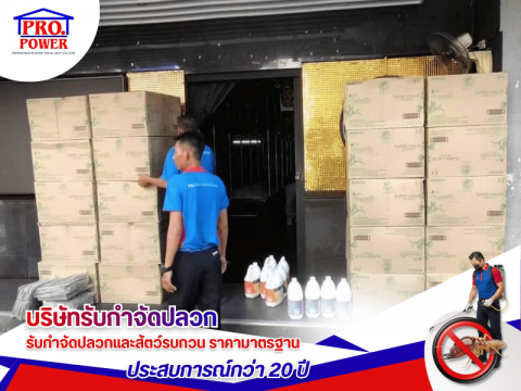 บริษัทกำจัดปลวก โรงแรม อพาร์ทเม้นท์ พัทยา
